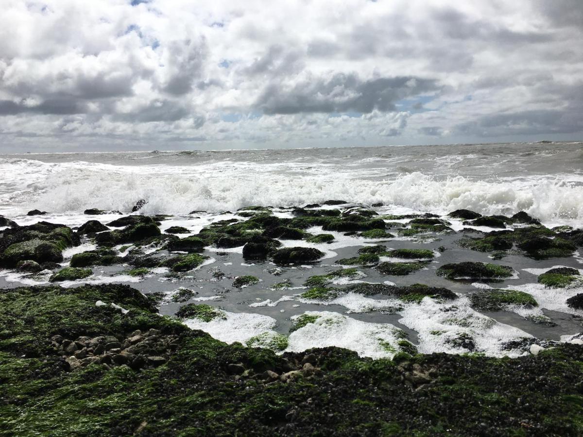 Fijne Studio Aan Zee Callantsoog Ngoại thất bức ảnh